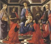 Sandro Botticelli Madonna enthroned with Child and Saints (Mary Magdalene,John the Baptist,Cosmas and Damien,Sts Francis and Catherine of Alexandria) oil painting picture wholesale